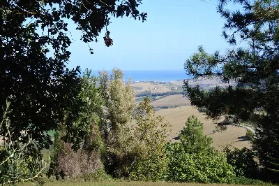 Rustico/Casale in vendita a Monterubbiano - foto 3