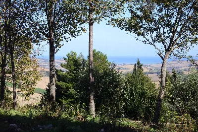 Rustico/Casale in vendita a Monterubbiano - foto 4