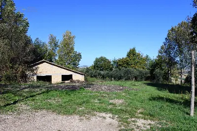 Rustico/Casale in vendita a Monterubbiano - foto 5