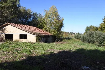Rustico/Casale in vendita a Monterubbiano - foto 6