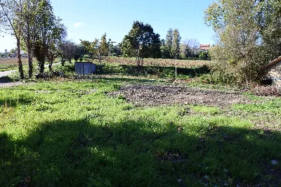 Rustico/Casale in vendita a Monterubbiano - foto 7