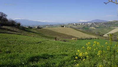 Rustico/Casale in vendita a Offida - foto 10