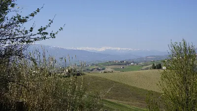 Rustico/Casale in vendita a Offida - foto 9