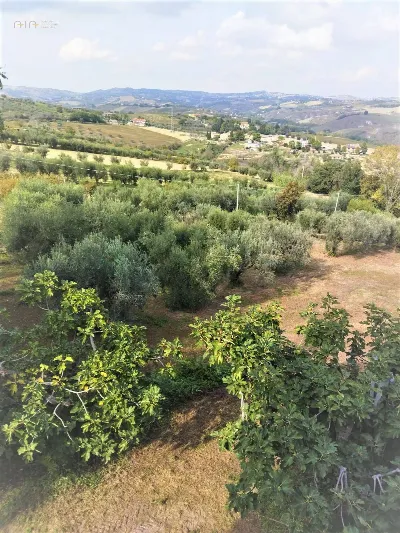 Villa in vendita a Castel di Lama - foto 3