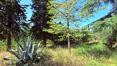 Villa in vendita a Ascoli Piceno - foto 10