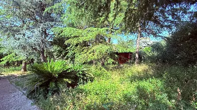 Villa in vendita a Ascoli Piceno - foto 4