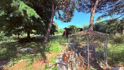 Villa in vendita a Ascoli Piceno - foto 5