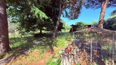 Villa in vendita a Ascoli Piceno - foto 6