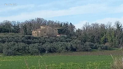 Rustico/Casale in vendita a Montalto delle... - foto 1