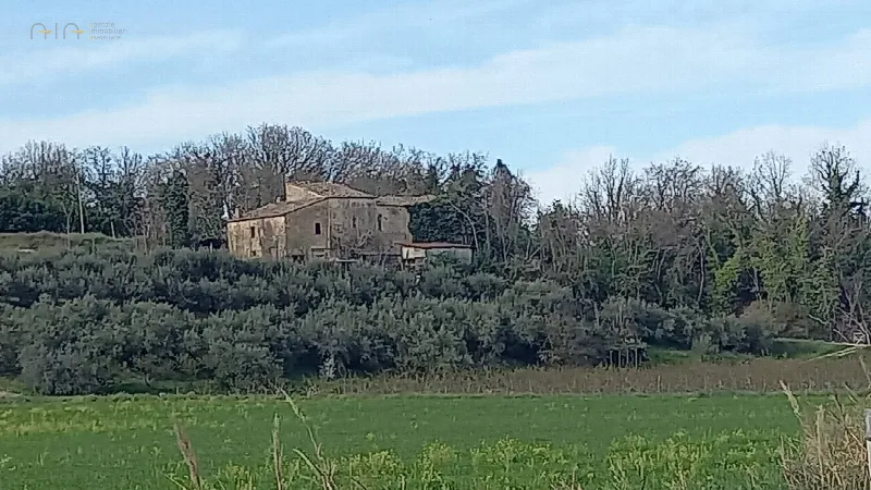 Rustico/Casale in vendita a Montalto delle Marche - foto 1