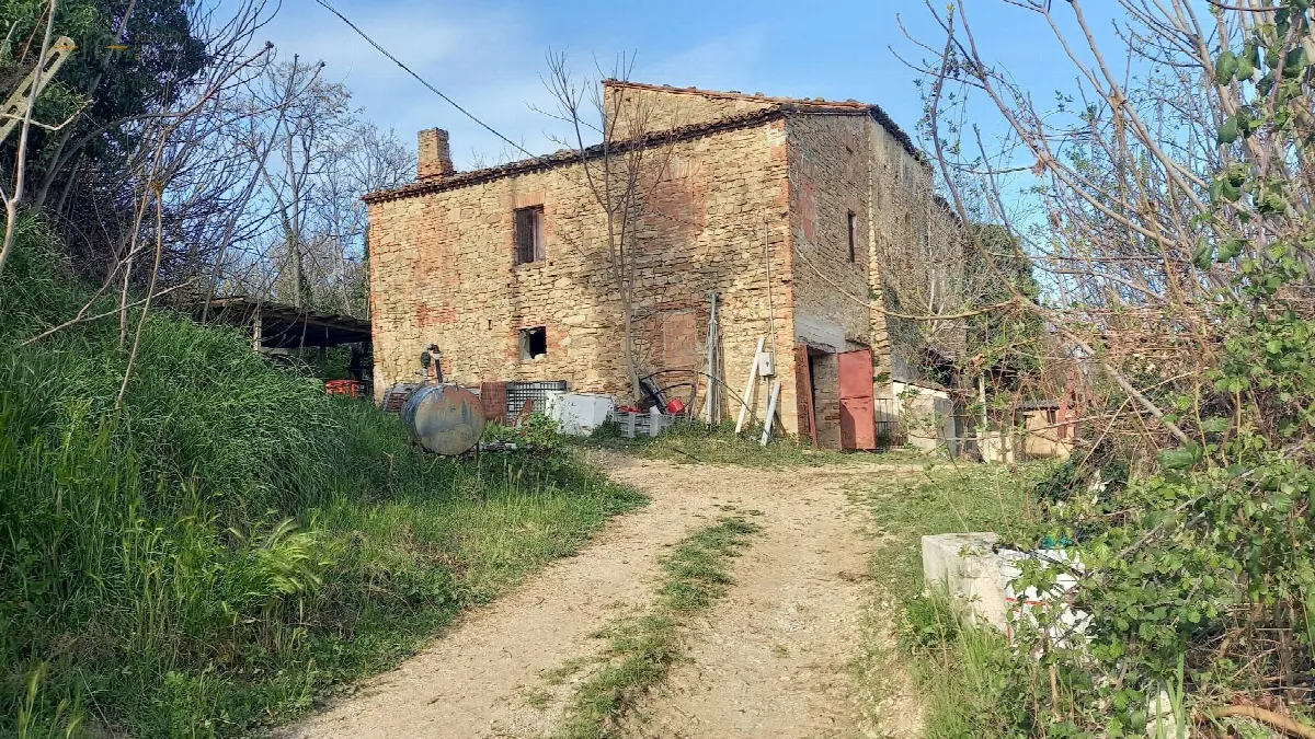 Rustico/Casale in vendita a Montalto delle Marche - foto 3