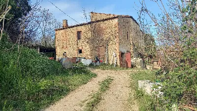 Rustico/Casale in vendita a Montalto delle... - foto 3