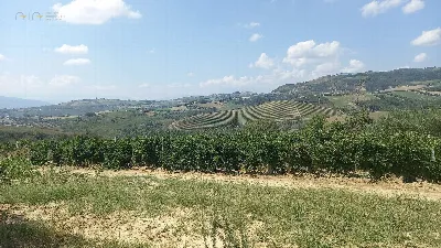 Rustico/Casale in vendita a Offida - foto 10
