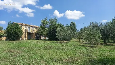 Rustico/Casale in vendita a Offida - foto 2