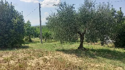 Rustico/Casale in vendita a Offida - foto 3