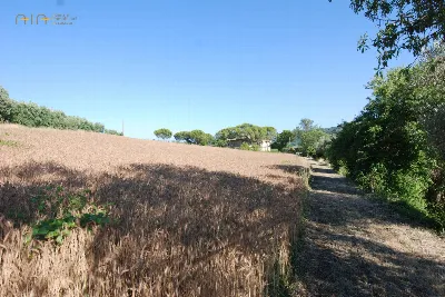 Rustico/Casale in vendita a Massignano - foto 10