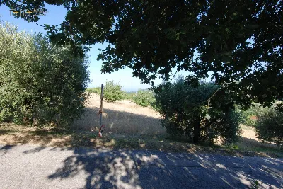 Rustico/Casale in vendita a Massignano - foto 2