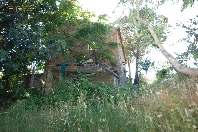 Rustico/Casale in vendita a Massignano - foto 5