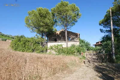 Rustico/Casale in vendita a Massignano - foto 7