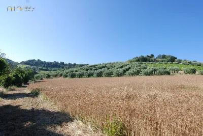 Rustico/Casale in vendita a Massignano - foto 8