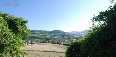 Rustico/Casale in vendita a Massignano - foto 9