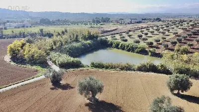 Rustico/Casale in vendita a Colonnella - foto 3