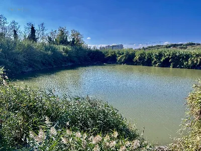 Rustico/Casale in vendita a Colonnella - foto 7