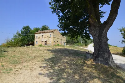 Rustico/Casale in vendita a Monterubbiano - foto 2