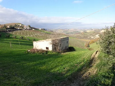 Rustico/Casale in vendita a Cossignano - foto 2