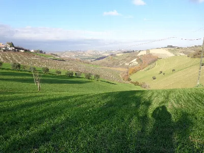 Rustico/Casale in vendita a Cossignano - foto 9