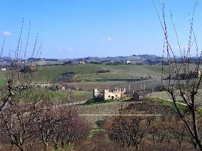 Rustico/Casale in vendita ad Appignano del... - foto 5