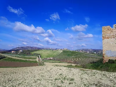 Rustico/Casale in vendita ad Appignano del... - foto 6