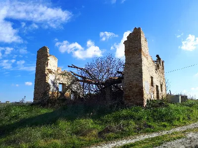Rustico/Casale in vendita ad Appignano del... - foto 8