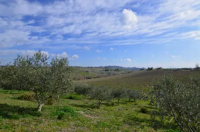 Rustico/Casale in vendita ad Appignano del... - foto 10