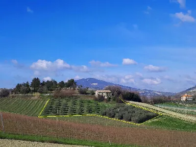 Rustico/Casale in vendita ad Appignano del... - foto 2