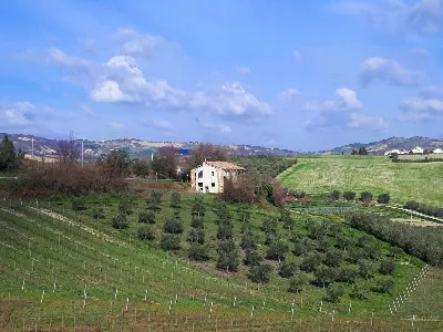 Rustico/Casale in vendita ad Appignano del... - foto 3