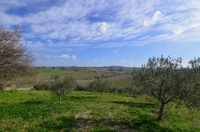 Rustico/Casale in vendita ad Appignano del... - foto 6