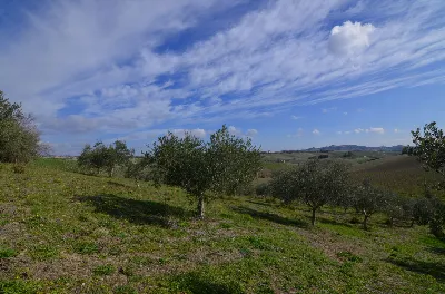 Rustico/Casale in vendita ad Appignano del... - foto 8