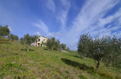 Rustico/Casale in vendita ad Appignano del... - foto 9