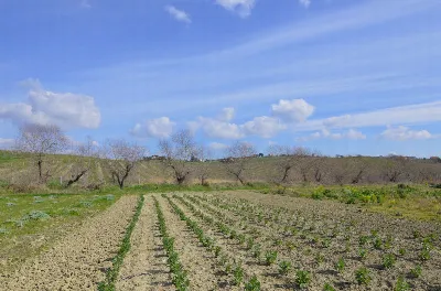 Rustico/Casale in vendita ad Appignano del... - foto 10