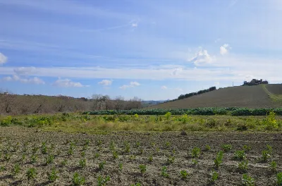 Rustico/Casale in vendita ad Appignano del... - foto 2