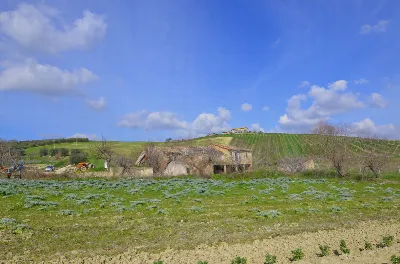 Rustico/Casale in vendita ad Appignano del... - foto 3