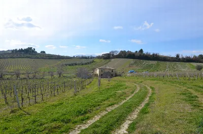 Rustico/Casale in vendita ad Appignano del... - foto 4