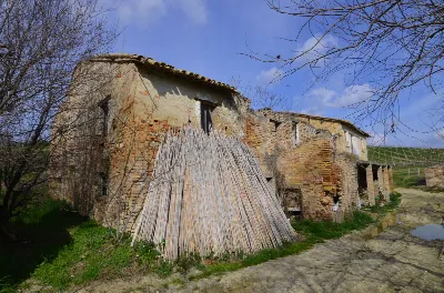 Rustico/Casale in vendita ad Appignano del... - foto 7