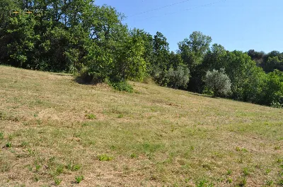 Rustico/Casale in vendita a Cupra Marittim... - foto 10