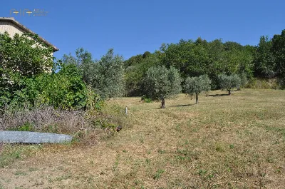 Rustico/Casale in vendita a Cupra Marittim... - foto 5