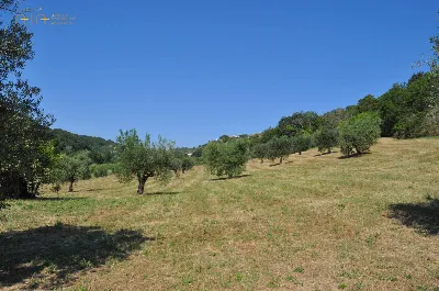 Rustico/Casale in vendita a Cupra Marittim... - foto 6