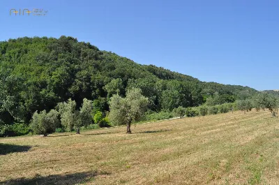 Rustico/Casale in vendita a Cupra Marittim... - foto 8