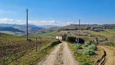 Rustico/Casale in vendita a Montefiore del... - foto 2