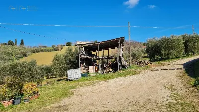 Rustico/Casale in vendita a Montefiore del... - foto 4